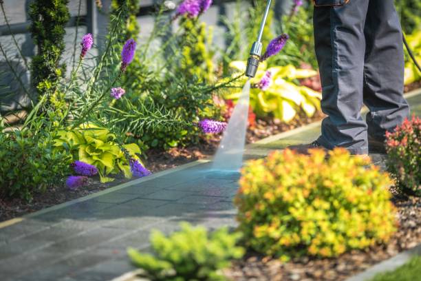 Best Gas Station Cleaning  in Vandalia, IL